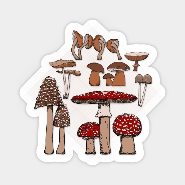 Mushroom Paradise Cream Background Sticker by cesartorresart